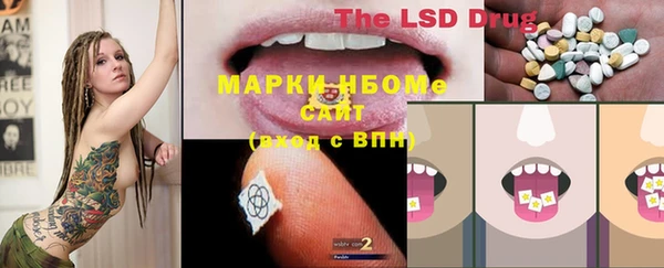 хмурый Магас