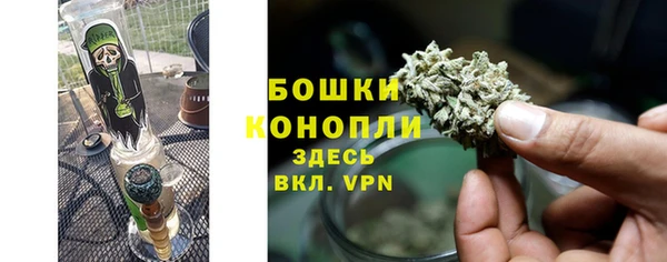 хмурый Магас