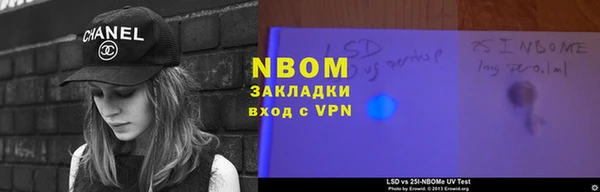 хмурый Магас