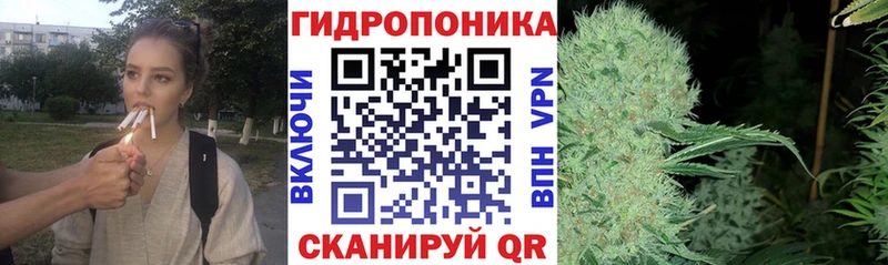 Каннабис OG Kush Ясный